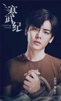 扒叔爆料侯明昊视频播放,揭秘幕后故事  第3张